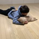 너랑나랑 행복하개 이미지