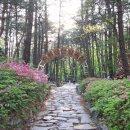 수리산 산림욕장 이미지