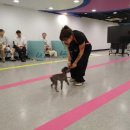 문화교실 이미지