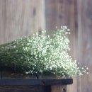 블루썬데이 이미지