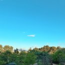 신창동1173 이미지