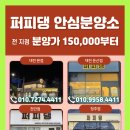 퍼피댕 강아지분양 안심분양소 청주점 말티푸미니비숑토이푸들 이미지