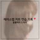 스텝교육