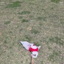 고인돌공원