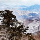 태백산 눈꽃 트레킹을 기대했으나....