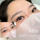 상남동 속눈썹연장, 필링미에서 인형속눈썹 겟 한 후기 !