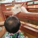 포승농장 이미지