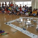 신지초등학교(병설포함) 이미지