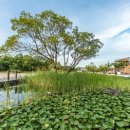 가락로63번길 이미지