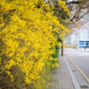 버스종점 이미지