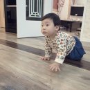 태승카 네이버블로그