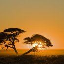 꿈의궁전 이미지