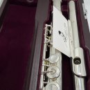 플룻 (B)? 이미지