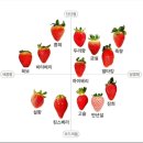 수하농장 이미지