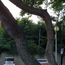청수극동아파트(1차) 이미지