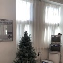 헤이42(HEY 42) | 대구 동성로 셀프 스튜디오 사진관 추천 헤이셔터스튜디오 후기