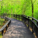 관악산 무장애숲길 이미지