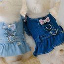 러브펫츠 이미지