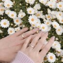 청담 다니엘케이 예물 반지 후기｜밀그레인 디자인 웨딩밴드 수령 + 할인·예물 서비스 구성 총정리