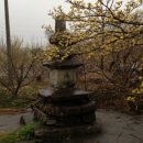 선회농장 이미지