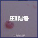 성모라인성형외과의원 이미지