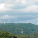 풍력발전소 이미지