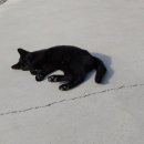 쌍둥이농장 이미지