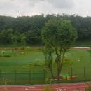 파크골프장(9홀) 이미지