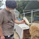 서문농장 이미지