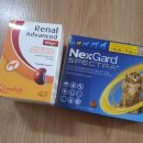 세이브동물약국 이미지