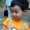 선유어린이집 네이버블로그