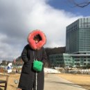 정선정보고등학교 | 대구 출발 하이원리조트 스키장 당일치기 여행