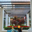 마카오게임장 | 홍콩-마카오 자유여행 마카오 3일차 마지막날 자이언트판다월드 콜로안빌리지 마카오 공항