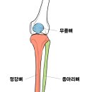 정강학원