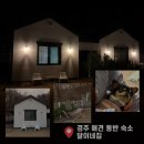 카카오펜션 | 경주 애견동반 숙소 추천 가성비 좋은 독채 펜션 달이네집 내돈내산 후기