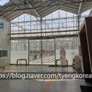 (주)케이팜 이미지