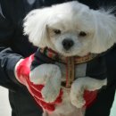 서창파출소 이미지