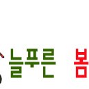 키제 이미지