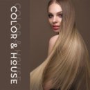 컬러하우스 이미지