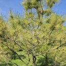 성원농장2 이미지