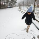 피콕빌리지 펜션 이미지