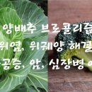 동양건강원 이미지