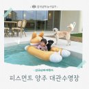 하라인테리어디자인 | 피스먼트양주 경기 애견운동장수영장 아기랑강아지랑