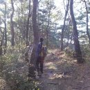 오르다보면 이미지