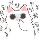 용호청년닭강정