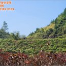 산후1리 다목적회관 이미지