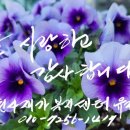 용두산공인중개사사무소 이미지
