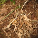 성장농원 이미지