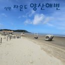 1004섬수석미술관 | 신안 자은도 여행▶ ≪1004 뮤지엄파크≫에서 <양산해변> 거닐고 <1004섬 수석미술관> 관람을