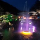 용인나무이야기 이미지